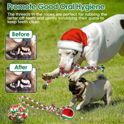 5Pcs Christmas Dog Rope