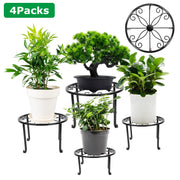 4Packs Iron Plotted Plant