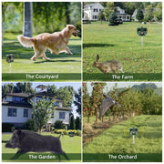 Ultrasonic Animal Repeller