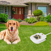 Dog Water Fountain Outdoor