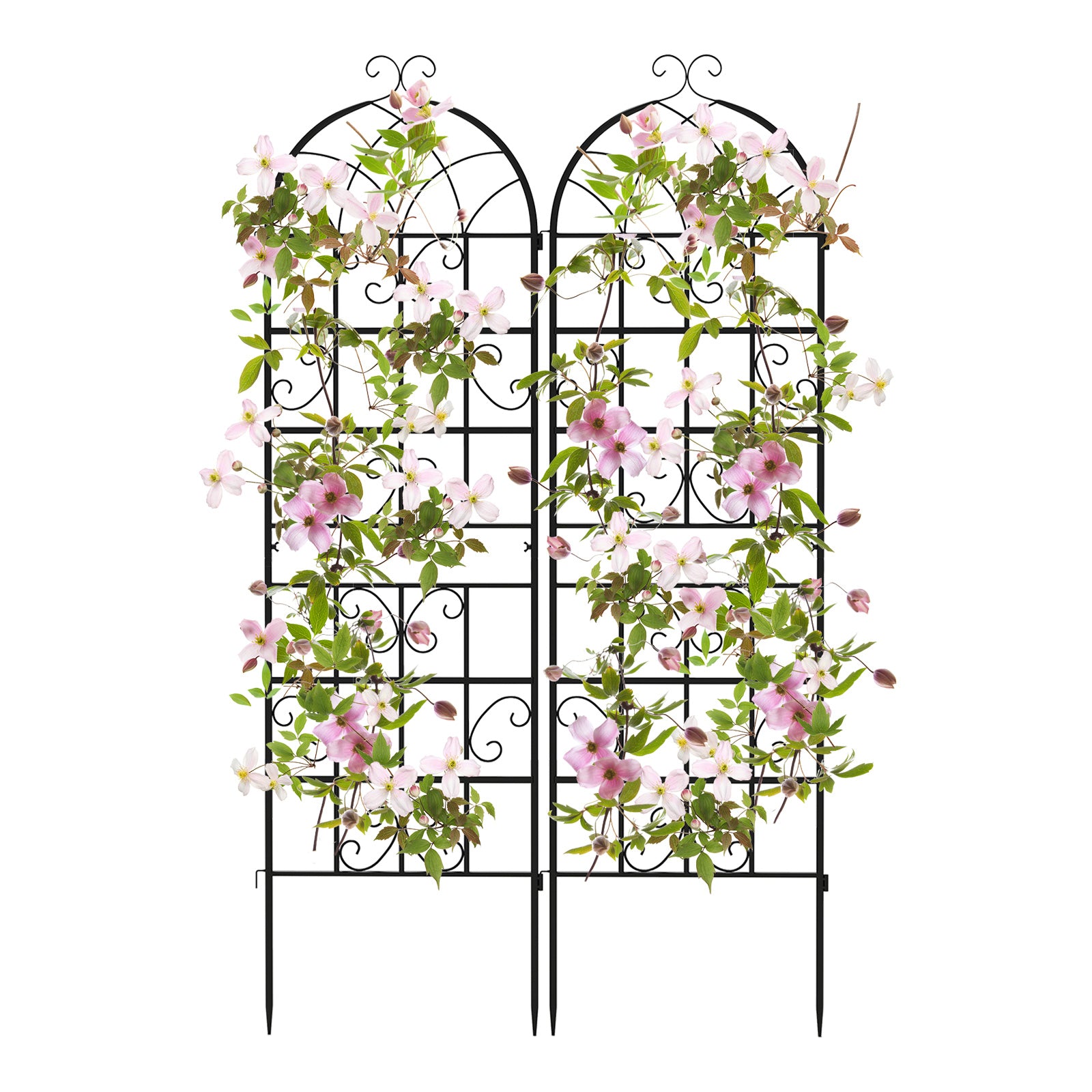 2/4 Pack 71 x 20 Inch Metal Garden Trellis for Climbing Plants-Set of 2