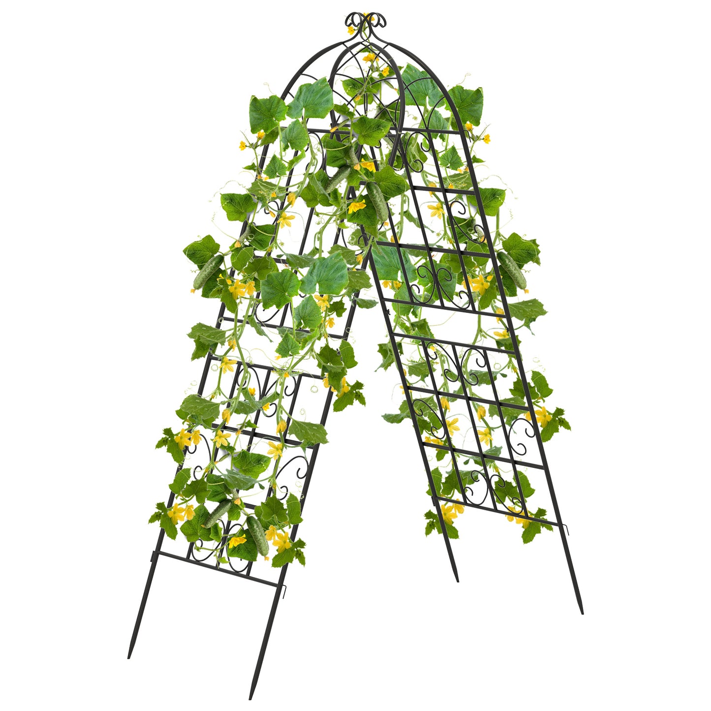 2/4 Pack 71 x 20 Inch Metal Garden Trellis for Climbing Plants-Set of 2
