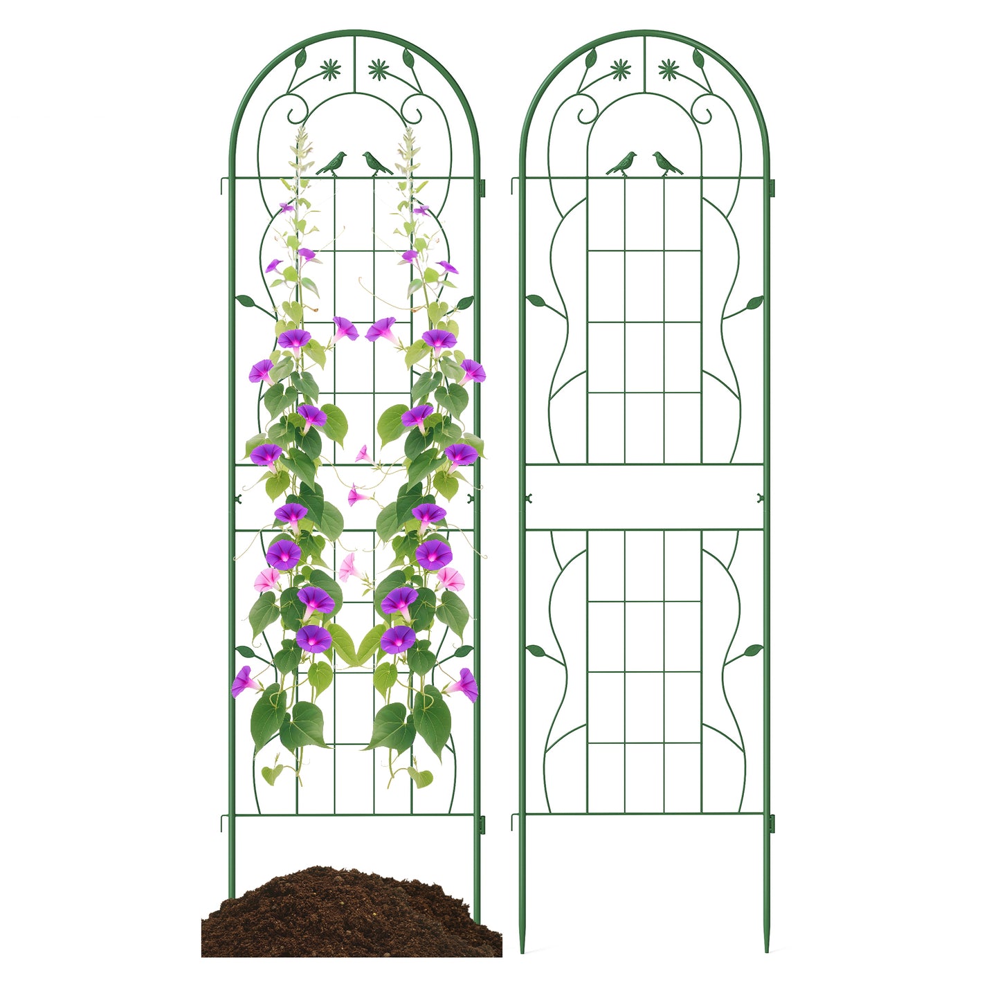 2 Pack 71 x 20 Inch Metal Garden Trellis Rustproof Plant Support for Climbing Plants-Green