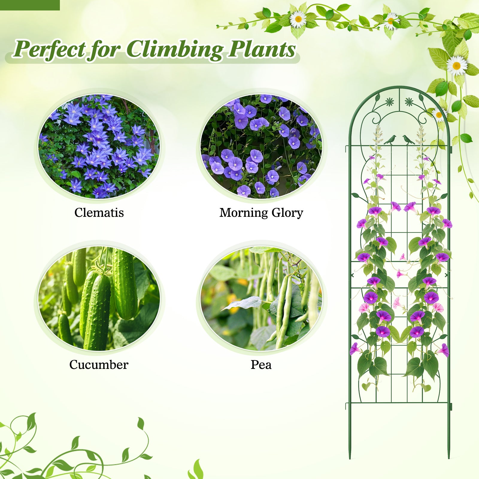 2 Pack 71 x 20 Inch Metal Garden Trellis Rustproof Plant Support for Climbing Plants-Green