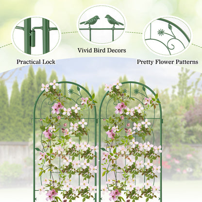 2 Pack 71 x 20 Inch Metal Garden Trellis Rustproof Plant Support for Climbing Plants-Green
