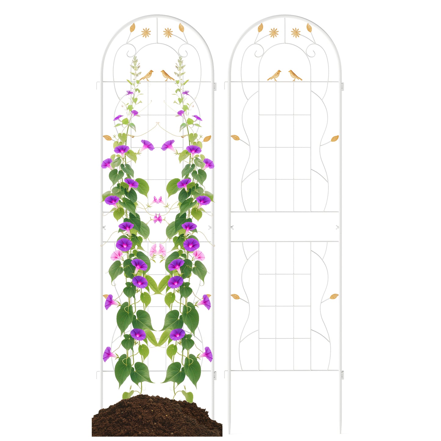 2 Pack 71 x 20 Inch Metal Garden Trellis Rustproof Plant Support for Climbing Plants-White