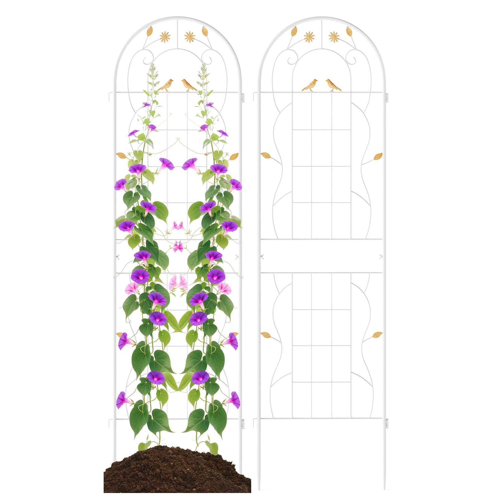 2 Pack 71 x 20 Inch Metal Garden Trellis Rustproof Plant Support for Climbing Plants-White