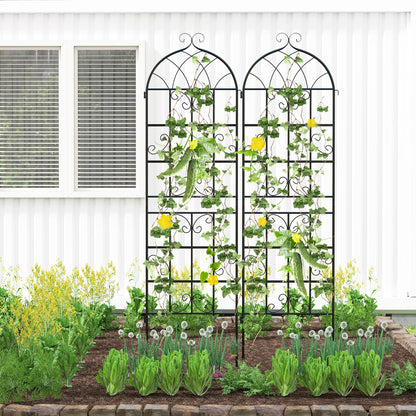 2 Pack 71" x 20" Metal Garden Trellis for Outdoor Climbing Plants