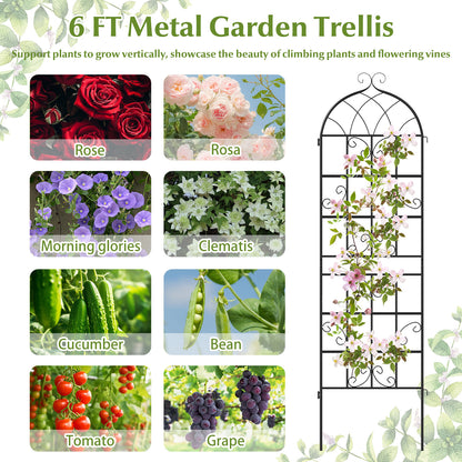 2 Pack 71" x 20" Metal Garden Trellis for Outdoor Climbing Plants