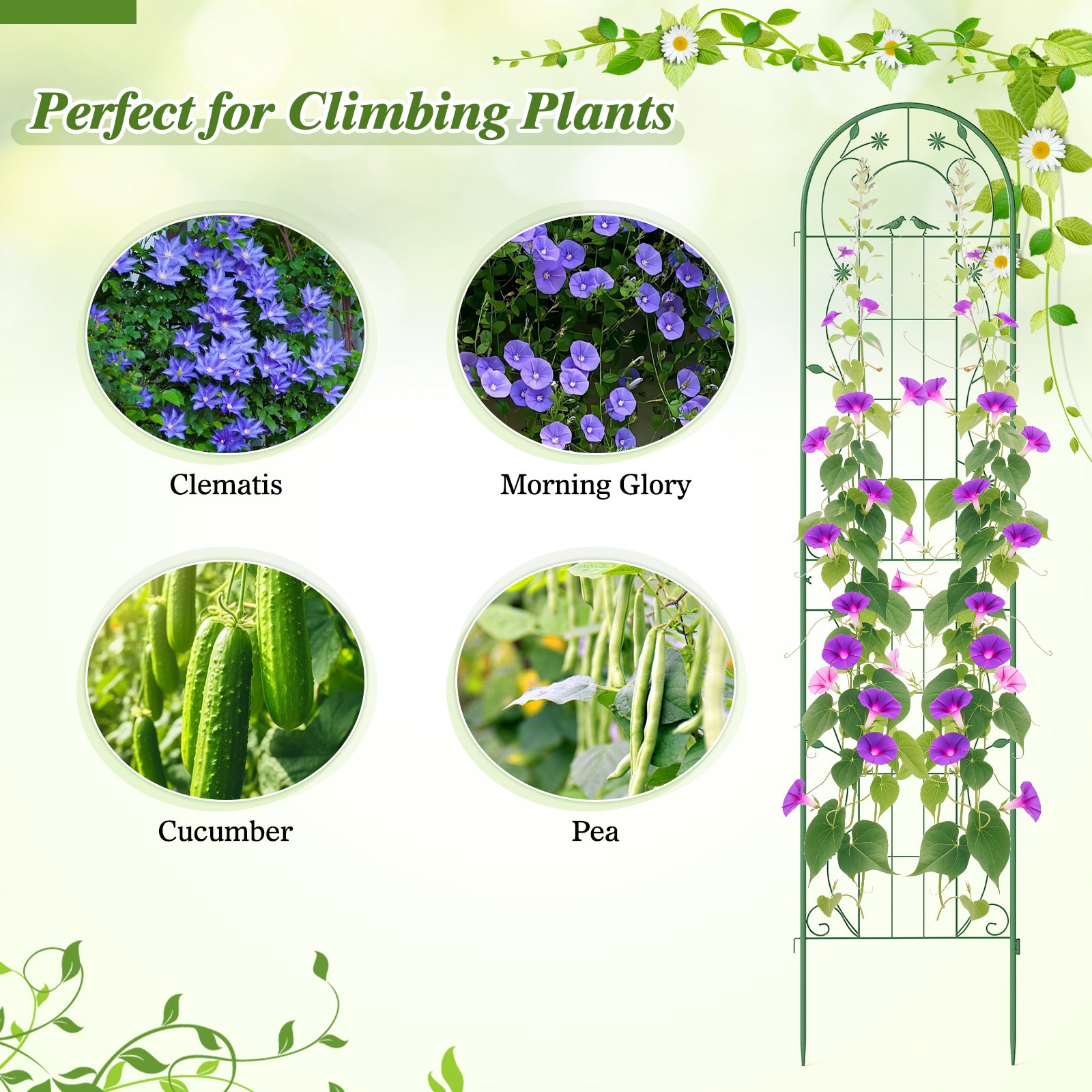 2 Pack 86.5 x 20 Inches Metal Garden Trellis for Climbing Plants-Green