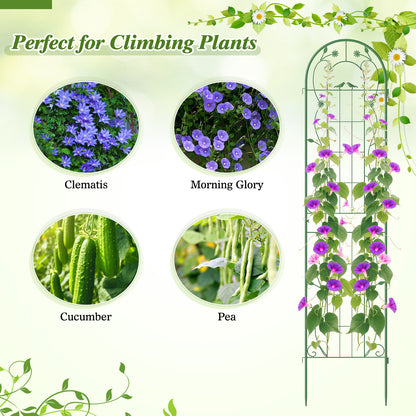 2 Pack 86.5 x 20 Inches Metal Garden Trellis for Climbing Plants-Green