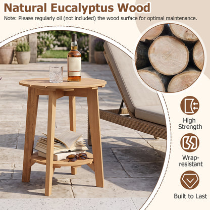 2-Tier Eucalyptus Wood Side Table with Storage Shelf