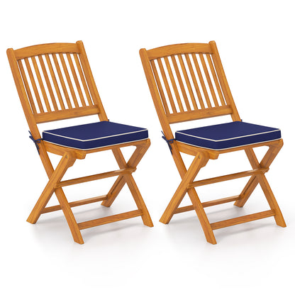 Outdoor Folding Chairs with Seat Cushions Set of 2-Red - Navy
