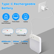 Motion Sensor Ceiling Light with Remote