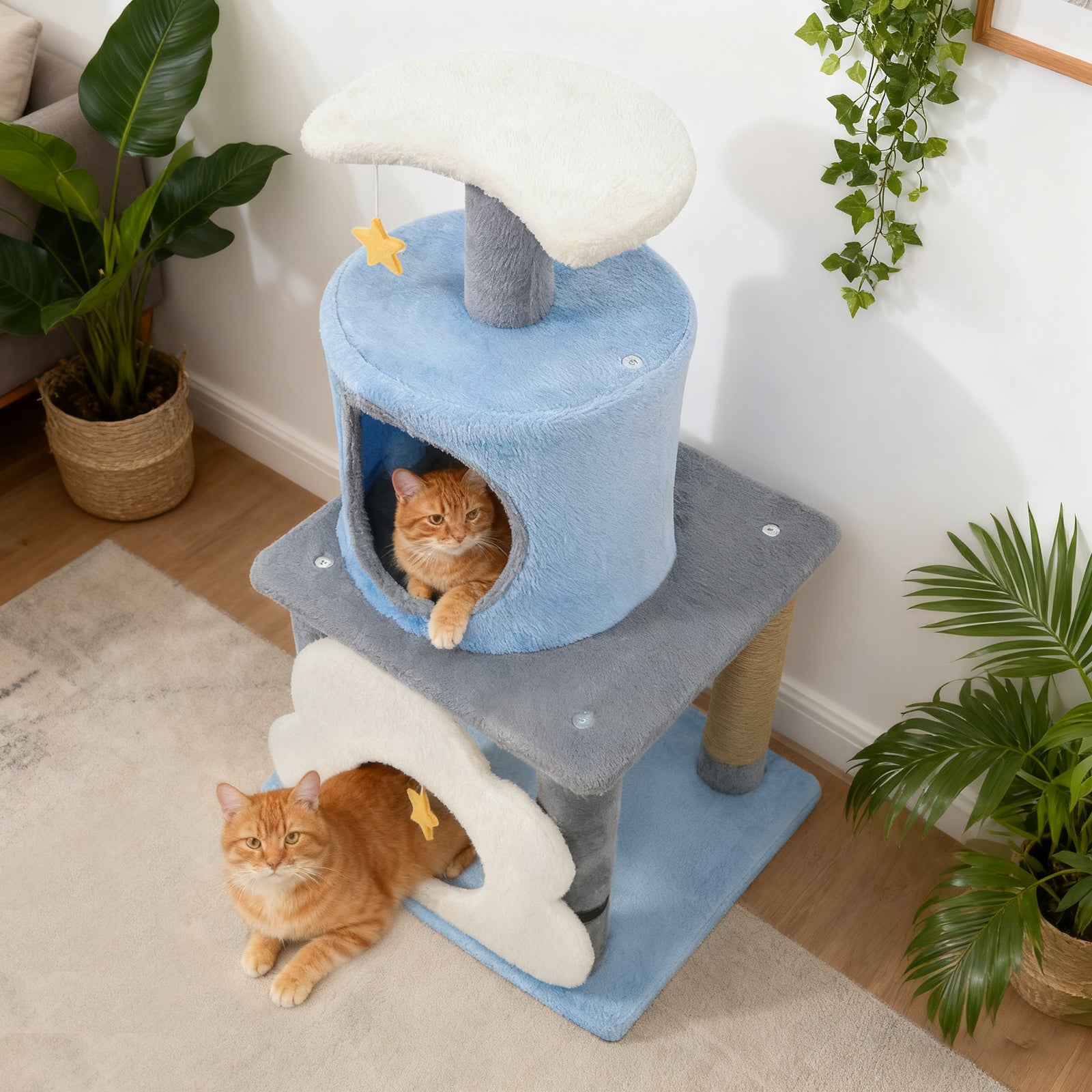 31.5" Cute Modern Cat Tree Multi-Level Kitten Tower-Blue