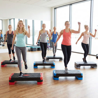 3-in-1 Aerobic Step Platform with Risers and Balance Trainers
