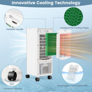 3-in-1 Air Cooler with Remote