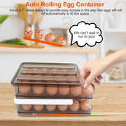 Egg Container Holder