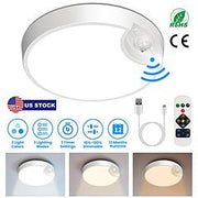 Motion-Activated LED Ceiling Light