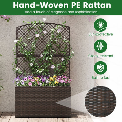 49 Inch Raised Garden Bed with Trellis and Wicker Planter Box-Brown