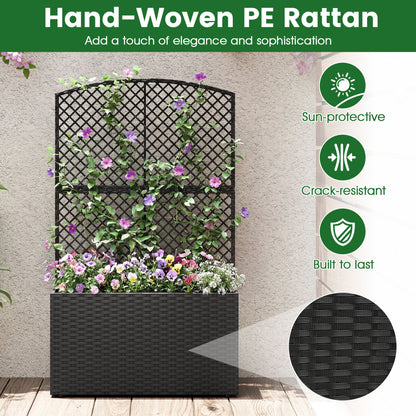 49 Inch Raised Garden Bed with Trellis and Wicker Planter Box-Black