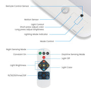 Motion Sensor Ceiling Light with Remote
