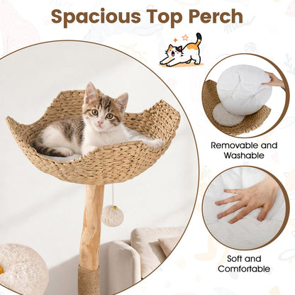 58 Inch Tall Solid Wood Cat Tree with 2 Flower Platforms and Hammocks-White