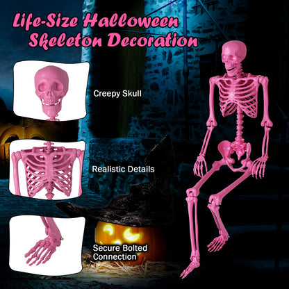 5.5 FT Life-Size Halloween Poseable Skeleton Pink Movable Joints