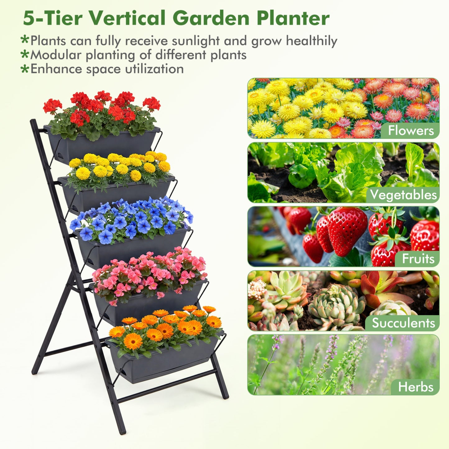 5-Tier Vertical Raised Garden Bed with Drainage System and Removable Trays for Vegetables