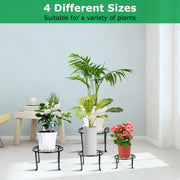 4Packs Iron Plotted Plant