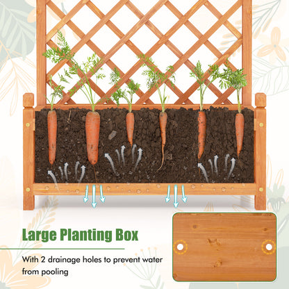 60 Inch Tall Raised Garden Bed with Diamond Lattice Trellis and Drainage Holes-Orange