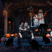 Halloween Cat Yard Sign Decorations