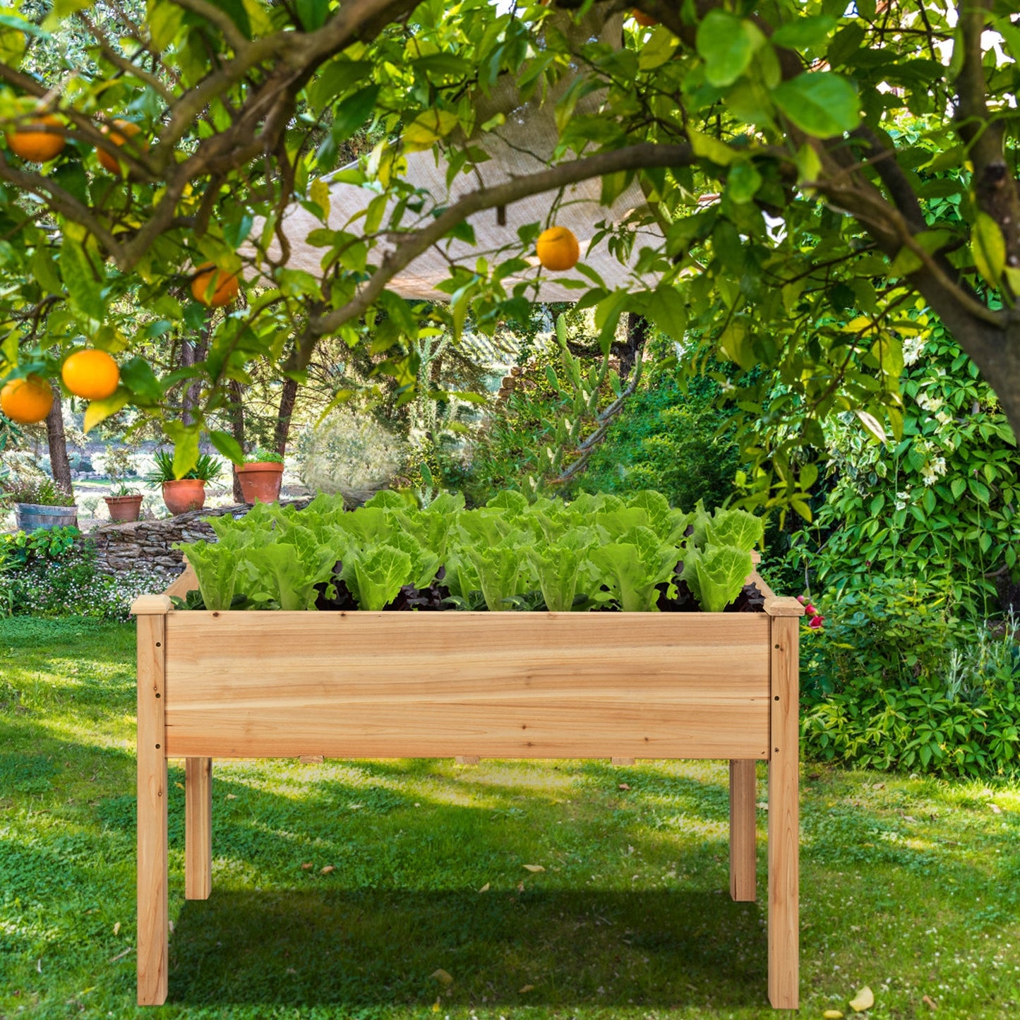 49‚Äô‚Äô x 23‚Äô‚Äô x 30‚Äô‚Äô Wooden Raised Vegetable Garden Bed