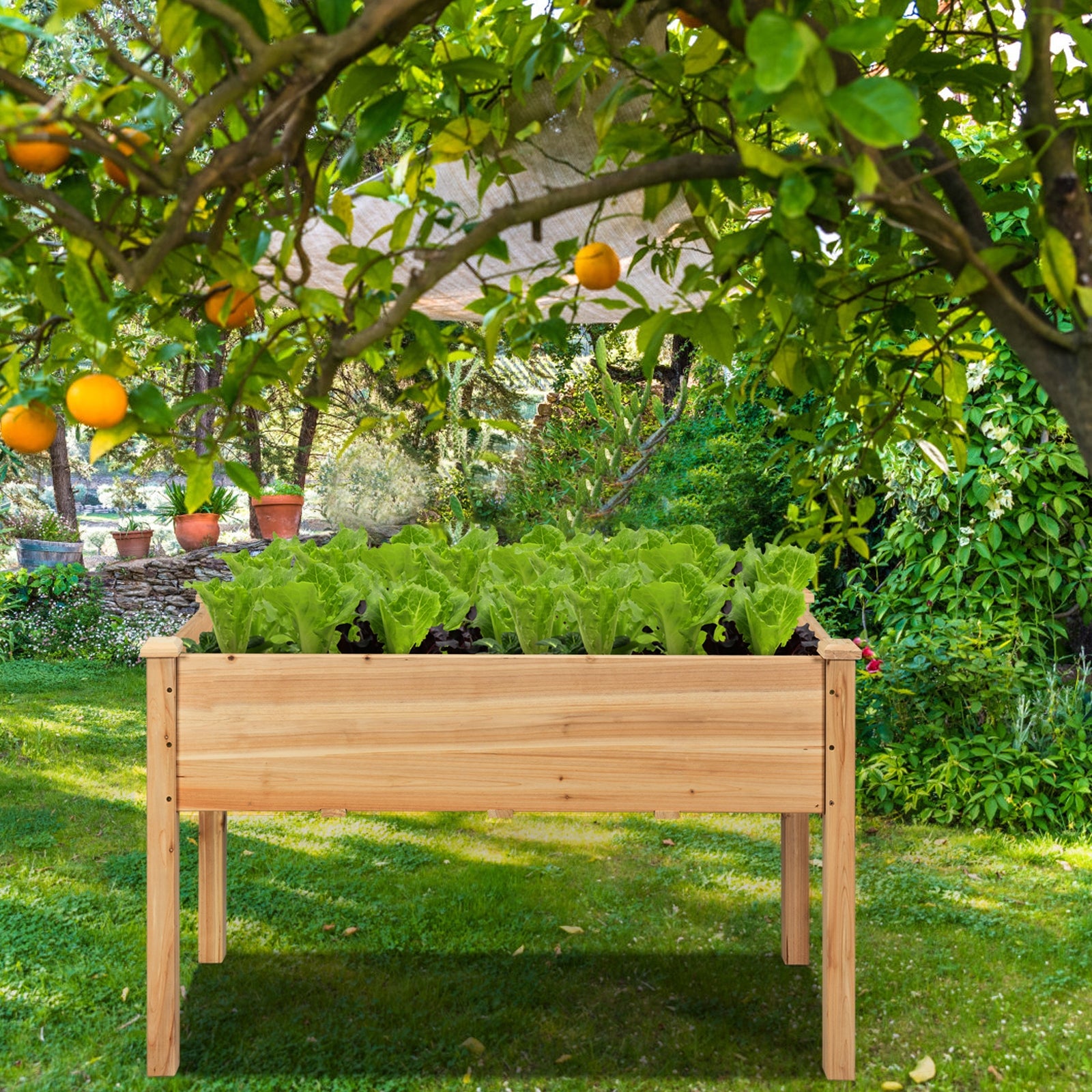 49‚Äô‚Äô x 23‚Äô‚Äô x 30‚Äô‚Äô Wooden Raised Vegetable Garden Bed