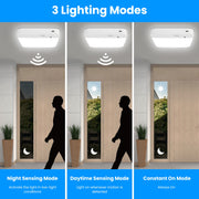 Motion Sensor Ceiling Light with Remote