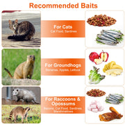 Large Animal Trap Galvanized