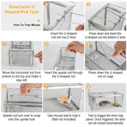 Rat Trap Cage Humane