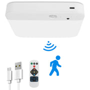 Motion Sensor Ceiling Light with Remote