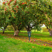 Waterproof Animal Chaser with Sound & Light