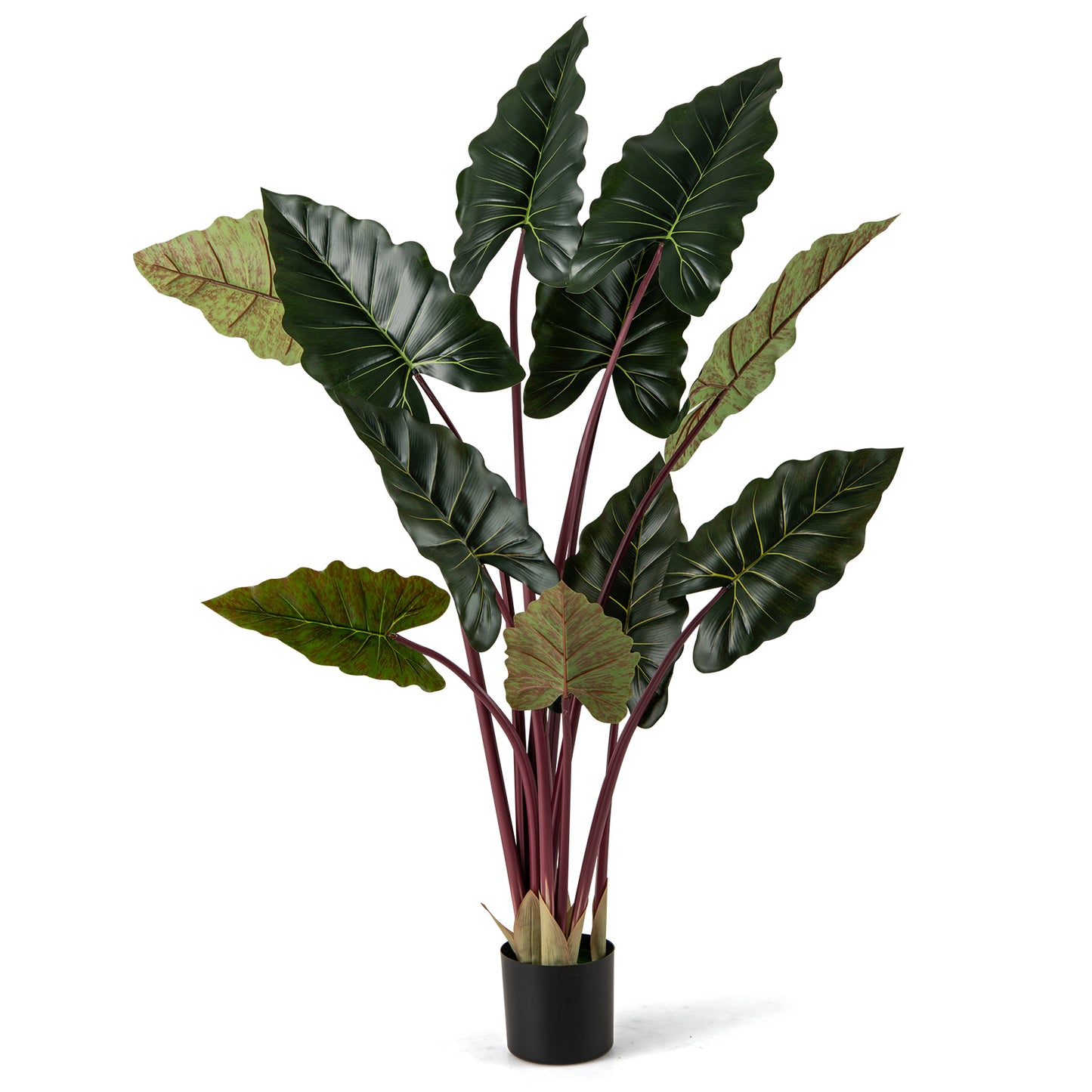 Artificial Rainbow Taro Tree 63" Tall with 11 Faux Leaves-1 Pack