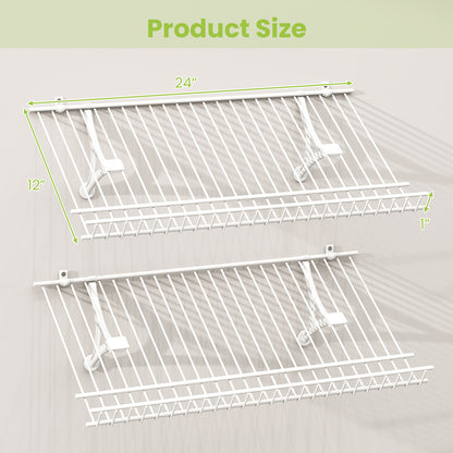 Closet Shelves Wall Mounted Set of 2 Metal Wire Shoe Racks