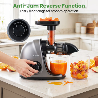 Cold Press Juicer Machine with 95% Juice Yield - Silver