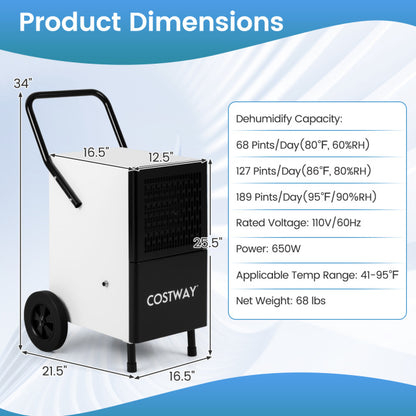 Commercial Dehumidifier and Heavy‑Duty Metal Floor Fan Combo