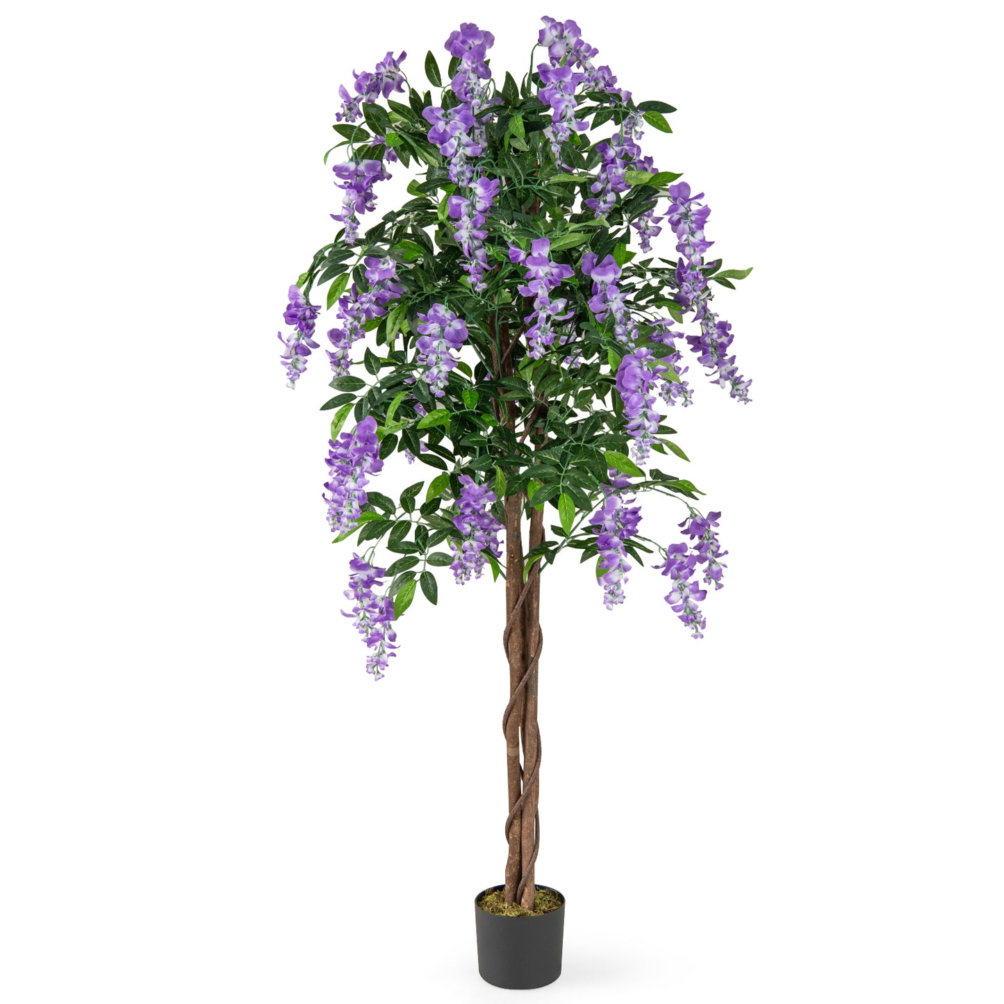 5.5 FT Faux Wisteria Plant in Nursery Pot with Blooming Flowers-Rose Red - Purple