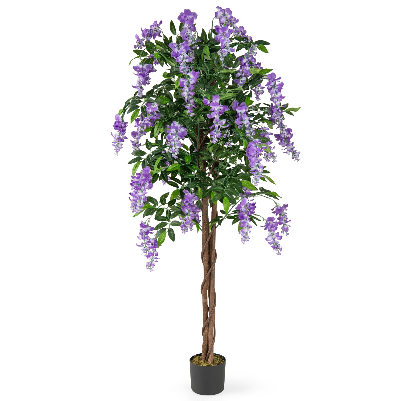 5.5 FT Faux Wisteria Plant in Nursery Pot with Blooming Flowers-Rose Red - Purple