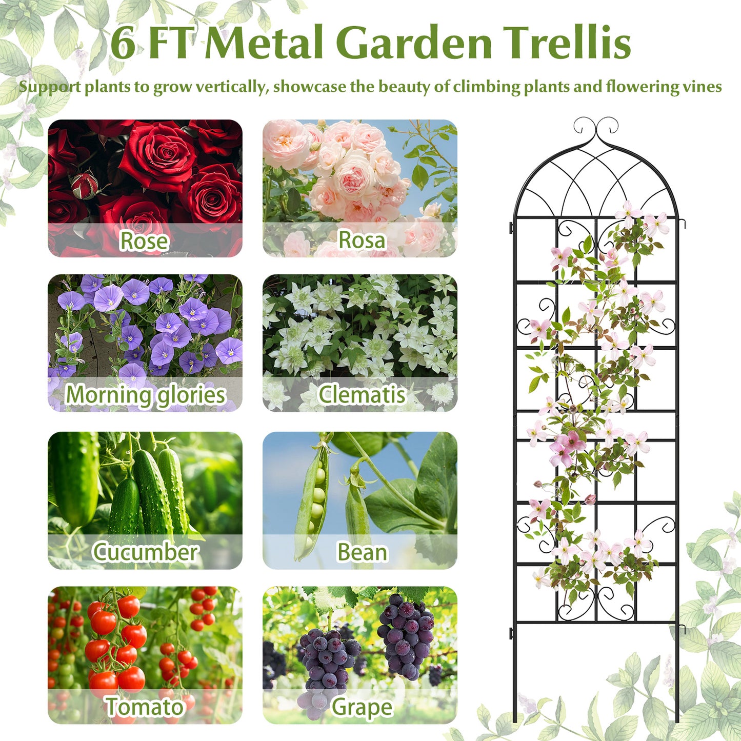 4 Pack 71" x 20" Metal Garden Trellis for Outdoor Climbing Plants