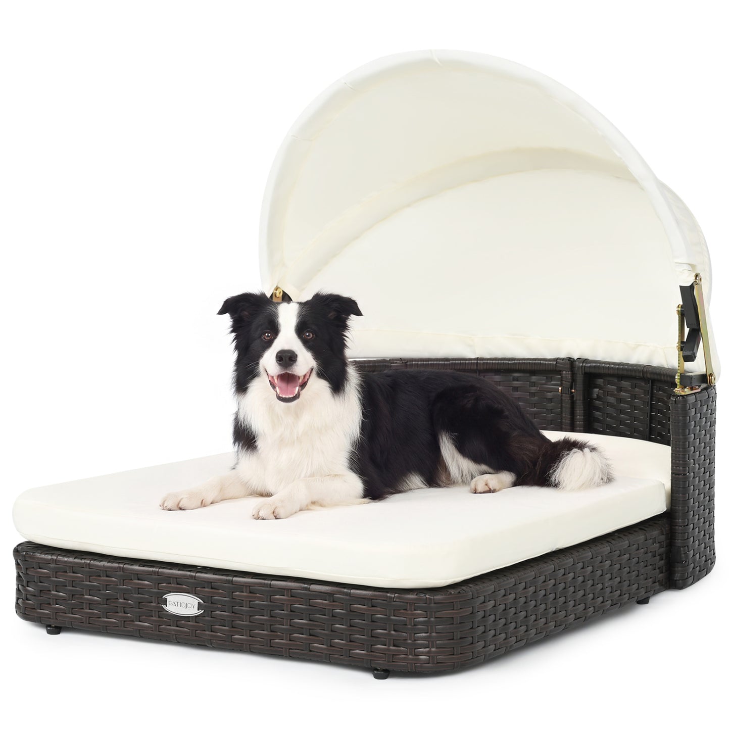 Rattan Pet Daybed with Adjustable Canopy for Small & Medium Dogs