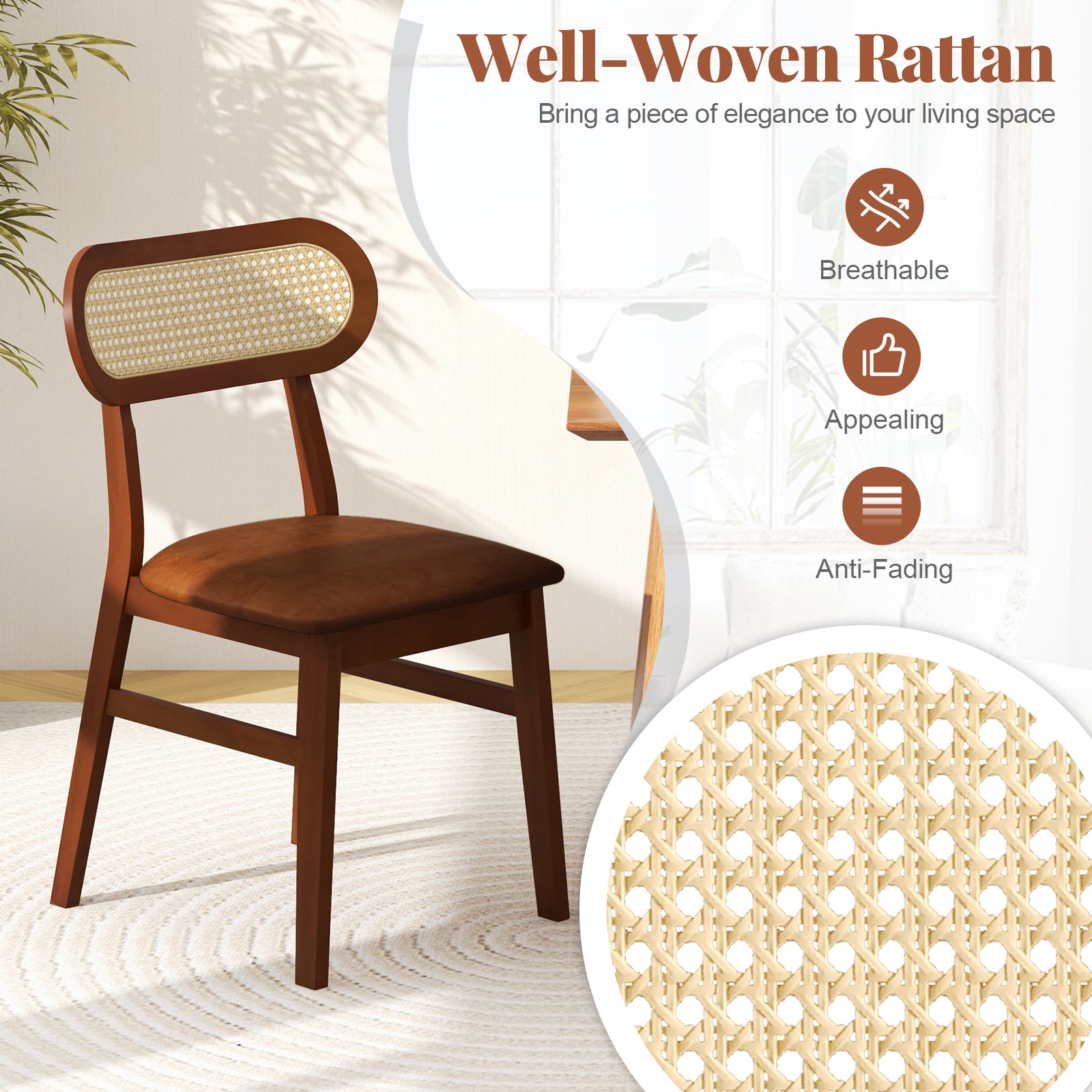 Indoor Mid Century Wood Dining Chairs Set of 2 for Dining Room-Coffee