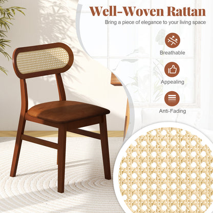 Indoor Mid Century Wood Dining Chairs Set of 2 for Dining Room-Coffee