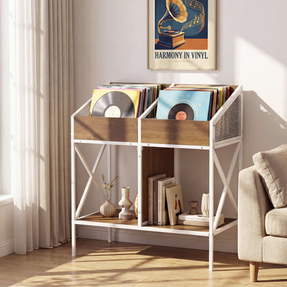 Industrial Vinyl Record Storage Rack with Metal Frame
